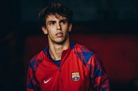 判断依据够吗？（判断依据是否充分？）